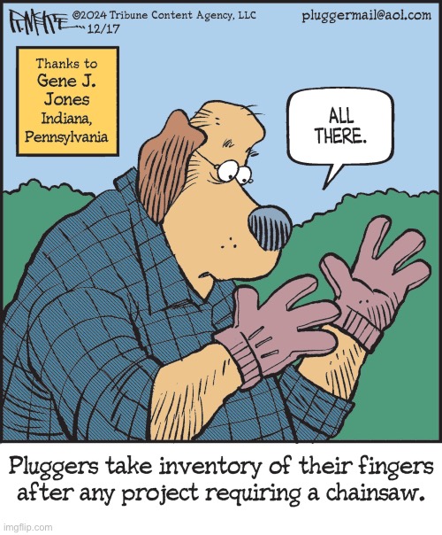Pluggers | image tagged in comics,pluggers,chainsaw,fingers,all there,take inventory | made w/ Imgflip meme maker