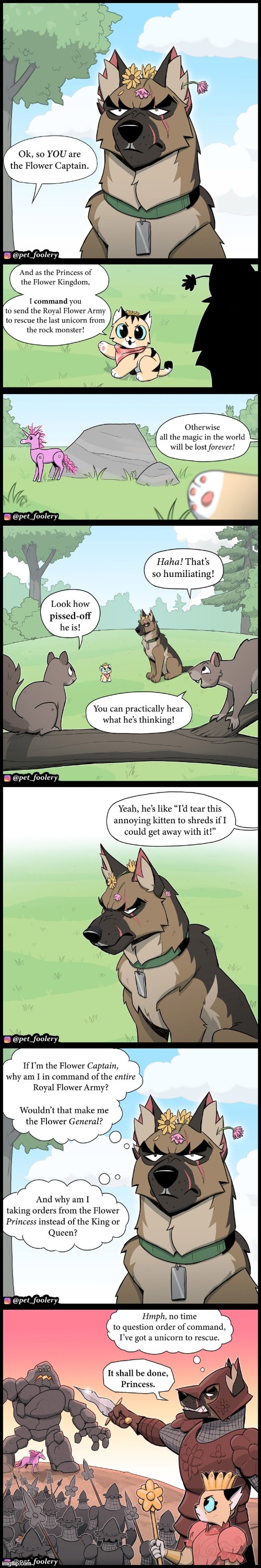 image tagged in cat,dog,squirrels,playing,pretend,flowers | made w/ Imgflip meme maker