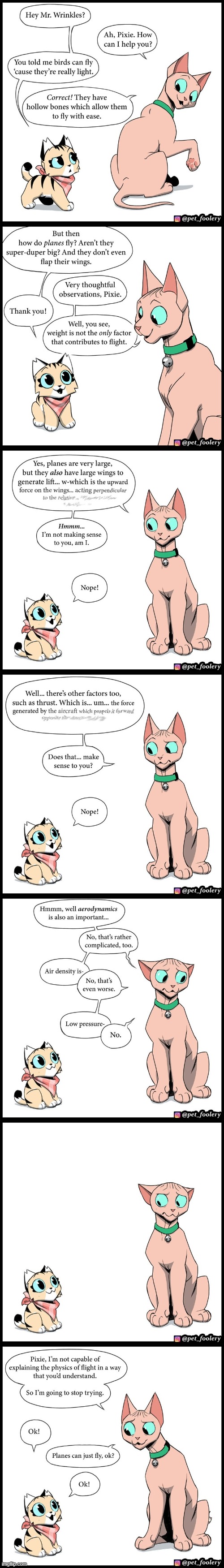 image tagged in cats,birds,planes,fly,flying,explanation | made w/ Imgflip meme maker