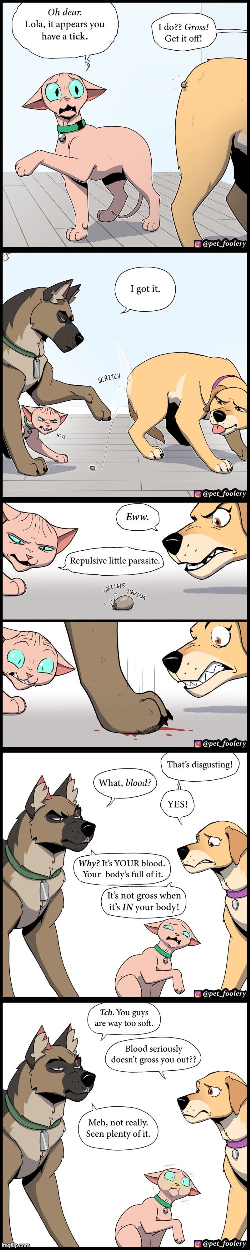 image tagged in cat,dogs,tick,blood,sick,oof | made w/ Imgflip meme maker