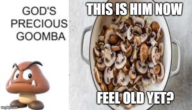 gods precious goomba | this is him now; feel old yet? | image tagged in gods precious goomba | made w/ Imgflip meme maker