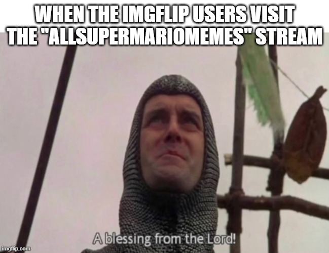 A blessing from the Lord! | when the imgflip users visit the "allsupermariomemes" stream | image tagged in a blessing from the lord | made w/ Imgflip meme maker