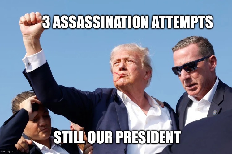 And ain’t nobody finna change that | image tagged in freedom,trump | made w/ Imgflip meme maker