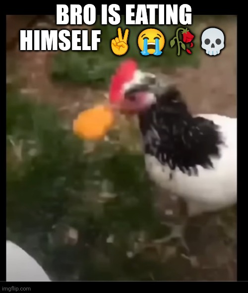 Bro is eating himself ✌️😭🥀💀 | image tagged in screenshot_20260420-174149 2 png | made w/ Imgflip meme maker