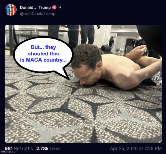 Shooter in custody | But... they shouted this is MAGA country... | image tagged in shooter,in custody | made w/ Imgflip meme maker