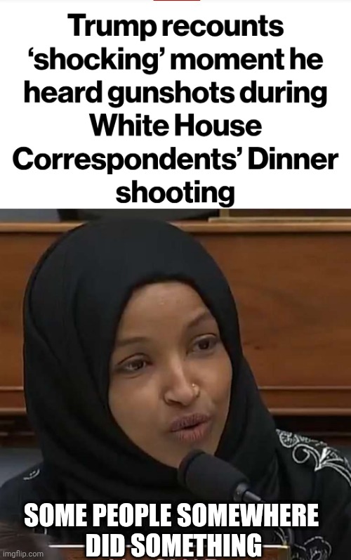 F.A.F.O. for terrorists | Some people somewhere
 did something | image tagged in ilhan omar,leftists,triggered liberal,media,conspiracy | made w/ Imgflip meme maker