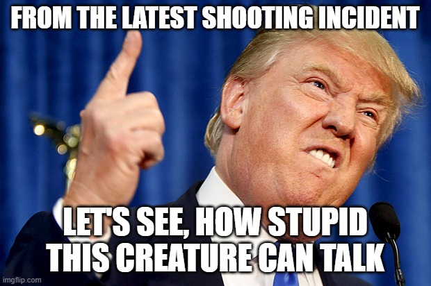 LET'S SEE | from the latest shooting incident; Let's see, how stupid this creature can talk | image tagged in donald trump | made w/ Imgflip meme maker