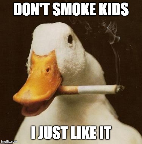 Smoking Duck | don't smoke kids; i just like it | image tagged in smoking duck | made w/ Imgflip meme maker