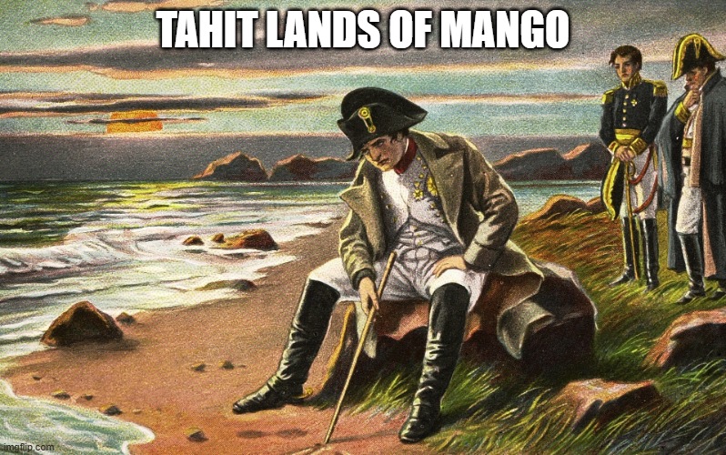 Napoleon | tahit lands of mango | image tagged in napoleon | made w/ Imgflip meme maker
