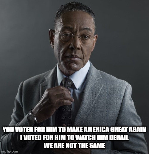 I could not in good conscious look my children in the eyes if I had voted for that woman | You voted for him to make america great again
i voted for him to watch him derail
we are not the same | image tagged in giancarlo esposito,trump,funny memes,breaking bad,better call saul,tv shows | made w/ Imgflip meme maker