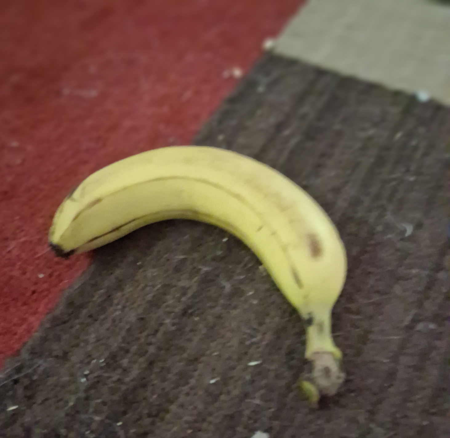 Banna on the ground Blank Meme Template
