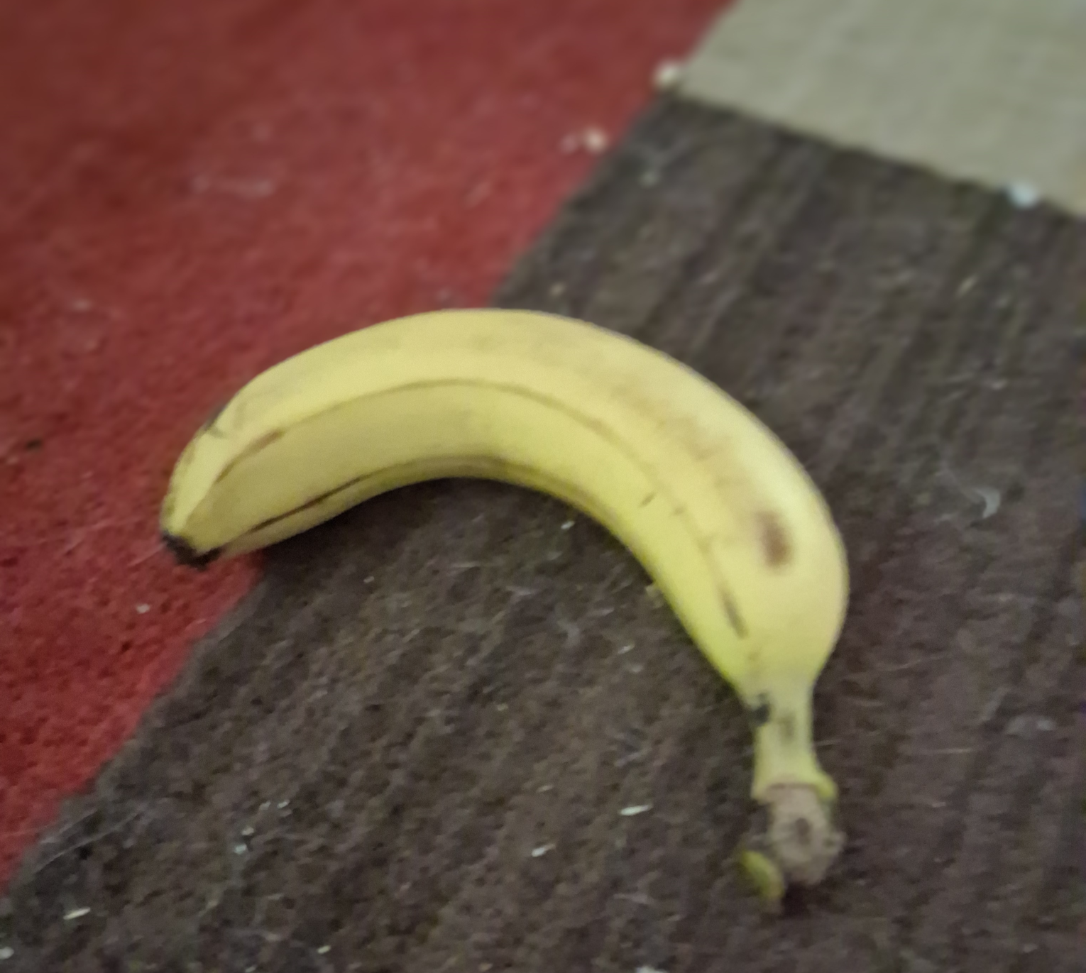 Bananan on the ground Blank Meme Template