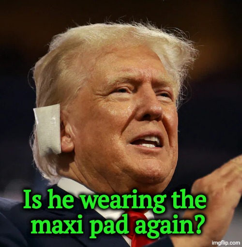 It's a question of trust. | Is he wearing the 
maxi pad again? | image tagged in trump with ear bandage,trump,liar,trust,assassination | made w/ Imgflip meme maker