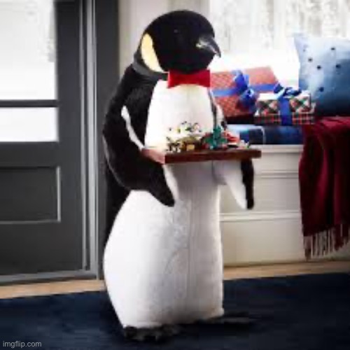 My dream butler | image tagged in penguin butler,penguin | made w/ Imgflip meme maker