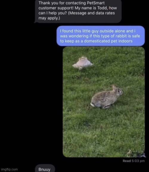 bnuy | made w/ Imgflip meme maker