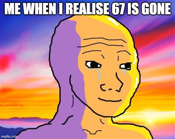 Sunset Wojak | me when i realise 67 is gone | image tagged in sunset wojak | made w/ Imgflip meme maker