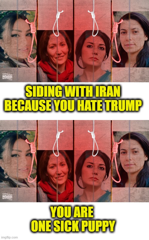 Next level TDS | Siding with Iran
because you hate Trump; You are 
one sick puppy | image tagged in iran | made w/ Imgflip meme maker