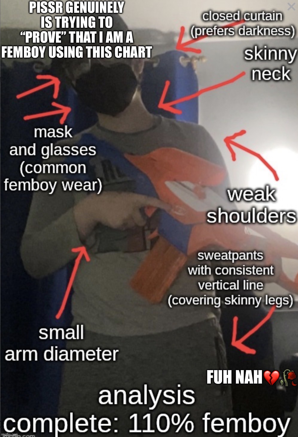 ts is all lies | pissr genuinely is trying to “prove” that i am a femboy using this chart; fuh nah💔🥀 | image tagged in img_2656 jpeg,remix | made w/ Imgflip meme maker