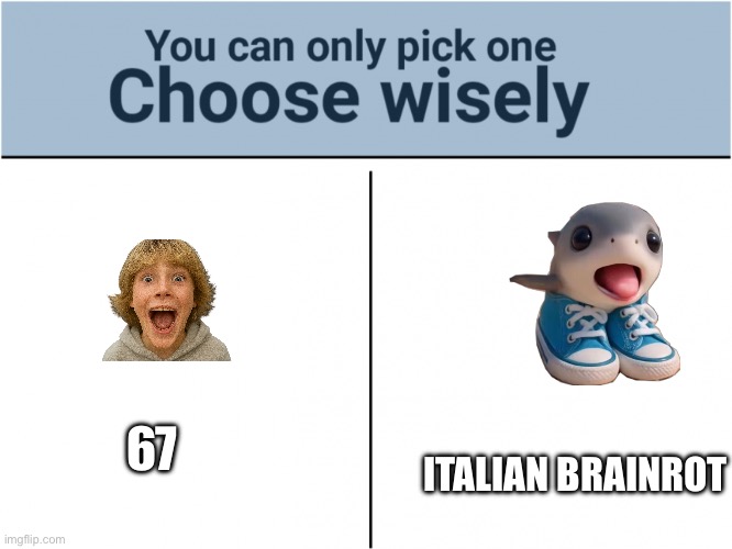 you can pick only one choose wisely | Italian brainrot; 67 | image tagged in you can pick only one choose wisely | made w/ Imgflip meme maker