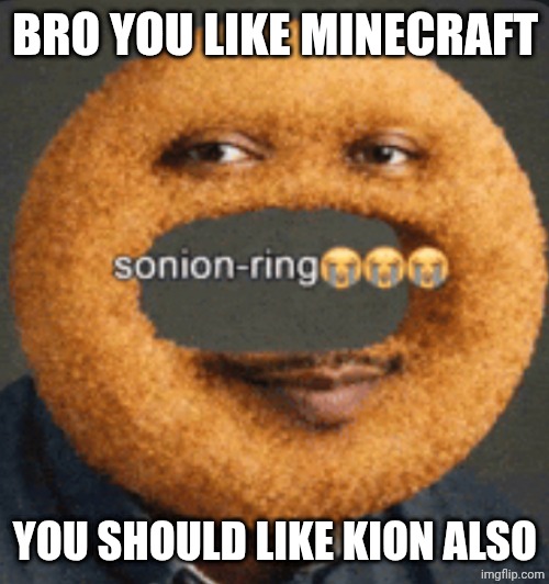 sonion ring | Bro you like minecraft You should like kion also | image tagged in sonion ring | made w/ Imgflip meme maker