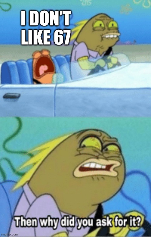 then why did you ask for it | I don’t like 67 | image tagged in then why did you ask for it | made w/ Imgflip meme maker