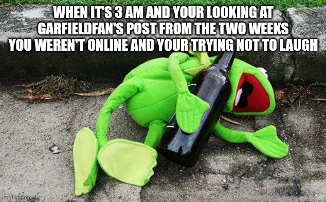 I don't think I'll ever understand it, but it's funny asf | When it's 3 am and your looking at Garfieldfan's post from the two weeks you weren't online and your trying not to laugh | image tagged in drunk kermit | made w/ Imgflip meme maker