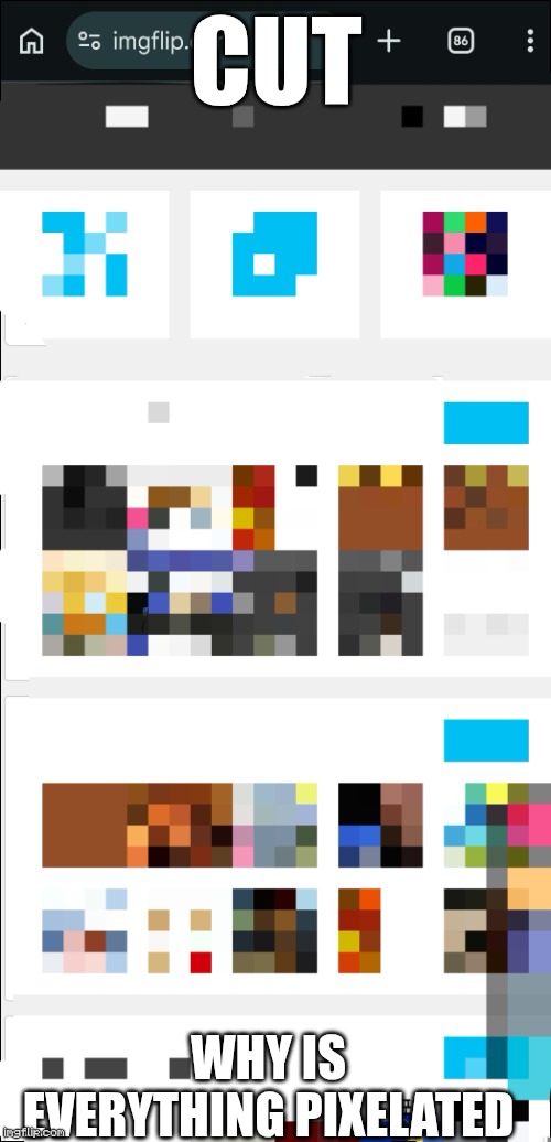why | CUT; Why is everything pixelated | image tagged in funny,memes,memenade,funny meme,imgflip,pixel | made w/ Imgflip meme maker