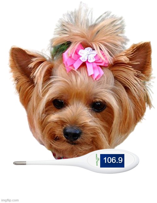 106.9 | made w/ Imgflip meme maker