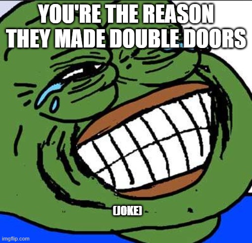 Laughing PEPE | you're the reason they made double doors; (joke) | image tagged in laughing pepe | made w/ Imgflip meme maker