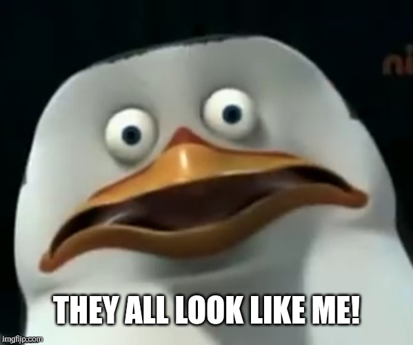 The Skipper | They all look like me! | image tagged in the skipper | made w/ Imgflip meme maker