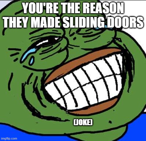 Laughing PEPE | you're the reason they made sliding doors; (joke) | image tagged in laughing pepe | made w/ Imgflip meme maker