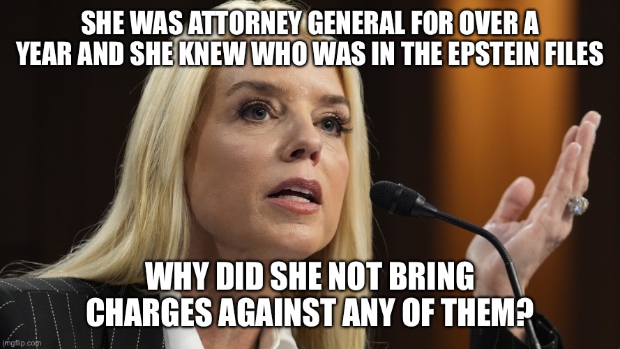 It's because maga protects pedos | She was attorney general for over a year and she knew who was in the Epstein files; Why did she not bring charges against any of them? | image tagged in pam bondi dog ate my homework | made w/ Imgflip meme maker