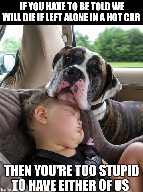 If You Have To Be Told We Will Die If Left Alone In A Hot Car | If You have to be told we will die if left alone in a hot car; Then you're too stupid to have either of us | made w/ Imgflip meme maker