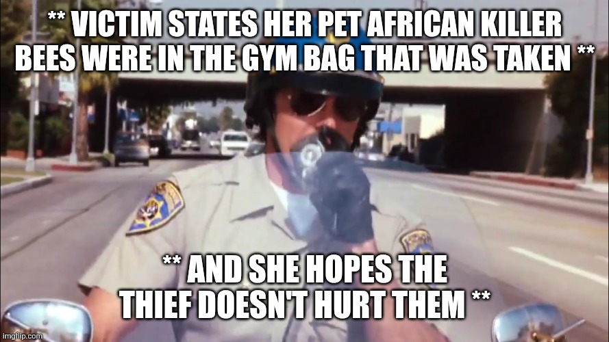 ** Victim states her pet African killer bees were in the gym bag that was taken ** ** and she hopes the thief doesn't hurt them ** | image tagged in police | made w/ Imgflip meme maker