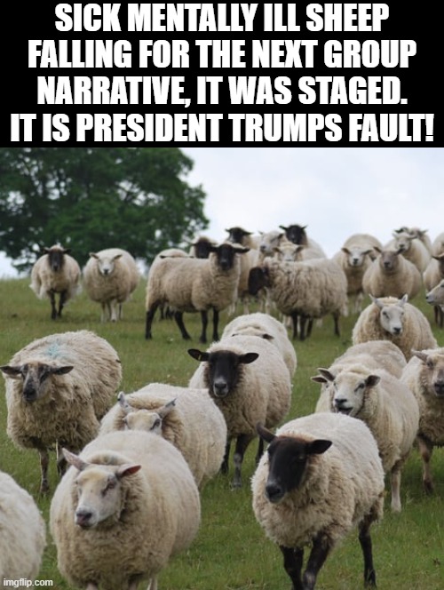 Mentally ill Democrat sheep falling for the next media narrative. It's staged! | Sick mentally ill sheep falling for the next group narrative, it was staged. it is President Trumps fault! | image tagged in mental illness | made w/ Imgflip meme maker