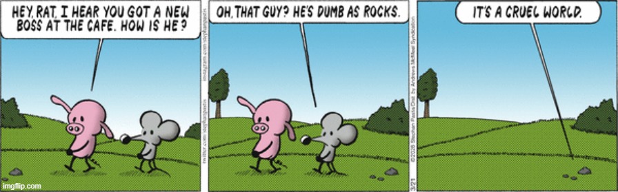 Pearls Before Swine | image tagged in comics | made w/ Imgflip meme maker