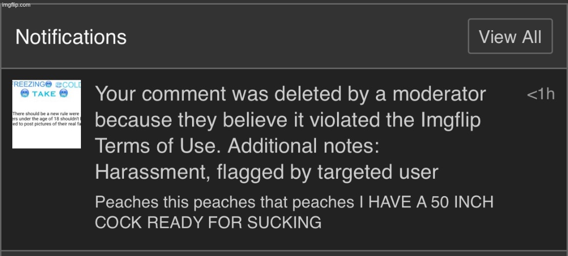 Brother I’m talking about Garfieldfan’s hate for Peaches not Peaches themselves | made w/ Imgflip meme maker