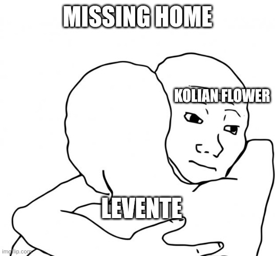 I Know That Feel Bro Meme | Missing home; Kolian Flower; Levente | image tagged in memes,i know that feel bro | made w/ Imgflip meme maker