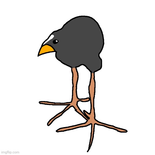 I drew a pukeko on ibispaint | image tagged in pukeko art | made w/ Imgflip meme maker