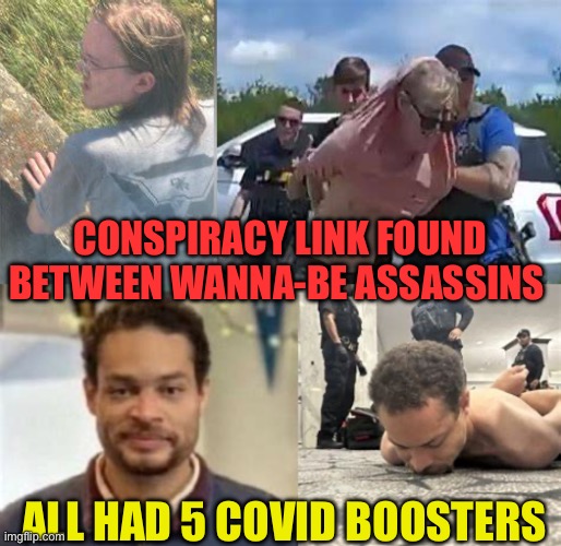 What conspiracy connects all three Wanna-be’s? | Conspiracy Link found between wanna-be assassins; All had 5 Covid boosters | image tagged in gifs,leftists,democratic socialism,conspiracy theories,covid vaccine | made w/ Imgflip meme maker