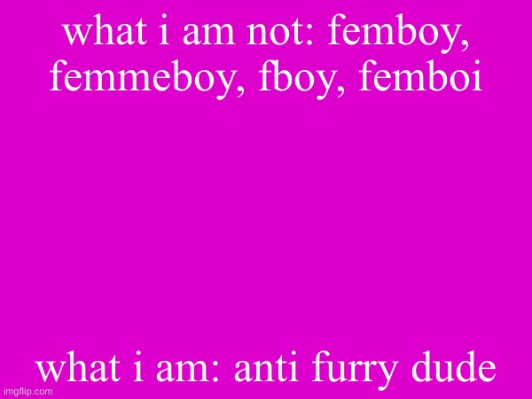 what i am not: femboy, femmeboy, fboy, femboi; what i am: anti furry dude | made w/ Imgflip meme maker