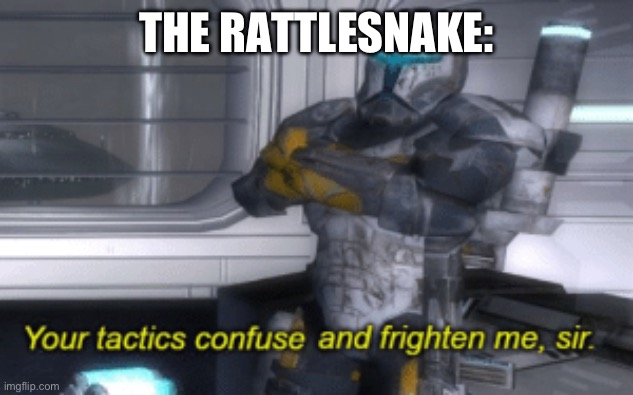 your tactics confuse and frighten me, sir | The rattlesnake: | image tagged in your tactics confuse and frighten me sir | made w/ Imgflip meme maker