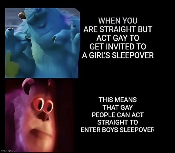 So Who’s Gay | image tagged in so does this mean,i can act straight,to go to boy sleepovers,which my parents do not let,me go to | made w/ Imgflip meme maker