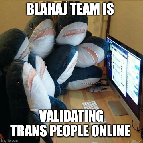Blahaj team | Blahaj team is; Validating trans people online | image tagged in blahaj | made w/ Imgflip meme maker