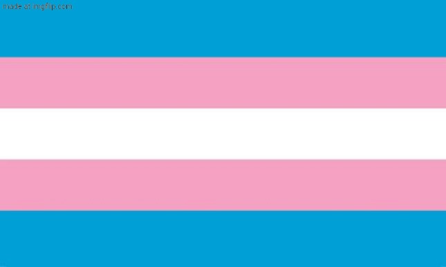 Transgender Flag | image tagged in transgender flag | made w/ Imgflip meme maker