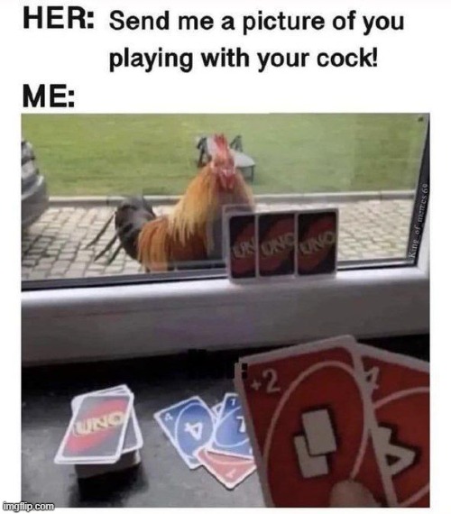Play with It | image tagged in sex jokes | made w/ Imgflip meme maker