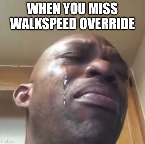 Crying guy meme | When you miss walkspeed override | image tagged in crying guy meme | made w/ Imgflip meme maker