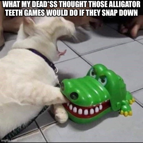Cat bitten by toy alligator | What my dead*ss thought those alligator teeth games would do if they snap down | image tagged in cat bitten by toy alligator | made w/ Imgflip meme maker