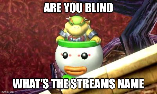 Suspicious Bowser Jr. | Are you blind What's the streams name | image tagged in suspicious bowser jr | made w/ Imgflip meme maker