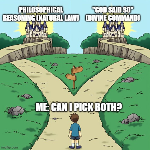 Two paths but they're both good | "God said so" (Divine Command); Philosophical reasoning (Natural Law); Me: Can I pick both? | image tagged in two paths but they're both good | made w/ Imgflip meme maker